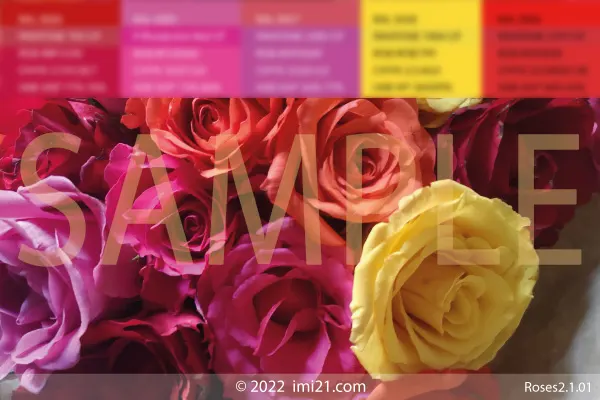 Roses colour board