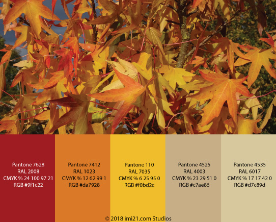 acer colour palette
