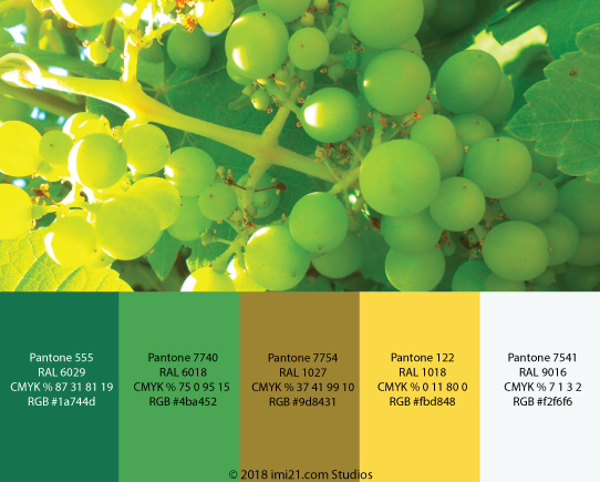 Chardonnay coloured palette
