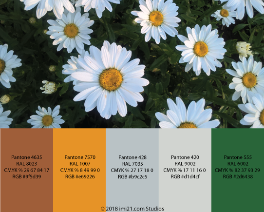 Marigolds